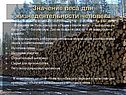 Значение леса для жизнедеятельности человека
