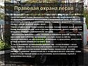 Правовая охрана лесов
