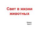 Свет в жизни животных