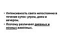 Интенсивность света