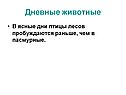 В ясные дни птицы лесов пробуждаются раньше