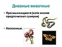 Пресмыкающиеся