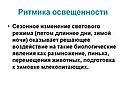 Ритмика освещенности