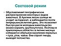 Световой режим