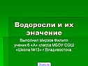 Водоросли и их значение