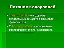 Питание водорослей
