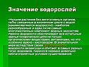 Значение водорослей