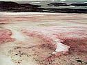 Значение водорослей