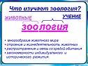Зоо