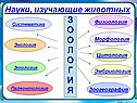 Науки, изучающие животных