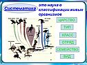 Систематика