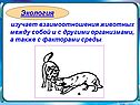 Экология