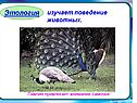 Этология