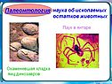 Палеонтология