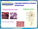 Цитология