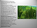 Ускорение развития человечества