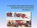 Двигательная активность