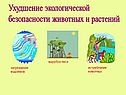 Ухудшение экологической безопасности животных и растений