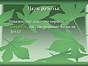 Цель работы: