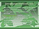 Биосферное значение леса: