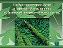 Потеря тропических лесов в Африке – 5 млн