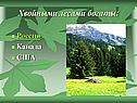 Хвойными лесами богаты: