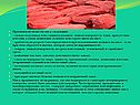 Признаки несвежести мяса