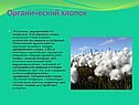 Органический хлопок