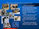 Экология водных ресурсов