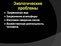 Экологические проблемы