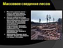 Массовое сведение лесов