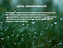 Экологические проблемы