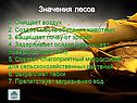 Значения лесов