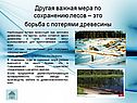 Другая важная мера по сохранению лесов