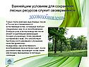 Лесовозобновление