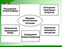 Право и экология