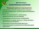 Деятельность хозяйствующих субъектов
