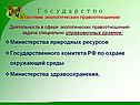 Государство в системе экологических правоотношений