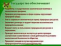 Государство обеспечивает