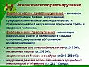 Экологическое правонарушение