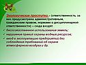Экологические проступки