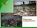Плоды нашей жизнедеятельности