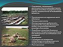 Основными, связанными с деятельностью человека факторами, которые