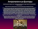 Антропогенные факторы