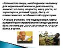 Продовольственная проблема человечества
