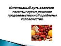 Интенсивный путь является главным путем решения продовольственной проблемы