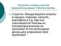 Нитраты в овощах