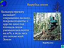 Вырубка лесов