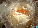 Спасибо за внимание