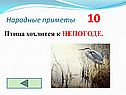 Птица хохлится к непогоде
